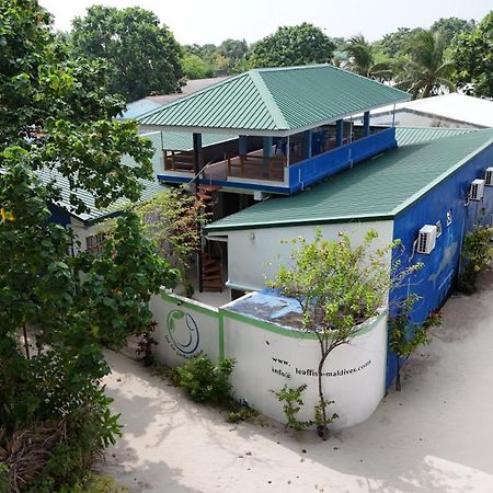 Leaf Fish Guesthouse Maldives Keyodhoo  外观 照片